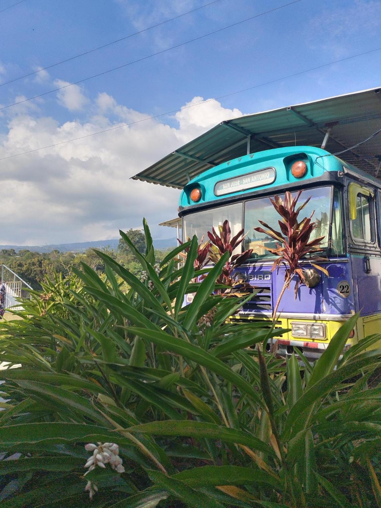 Dreamcatcher House Bus Experience 2 Campsite *