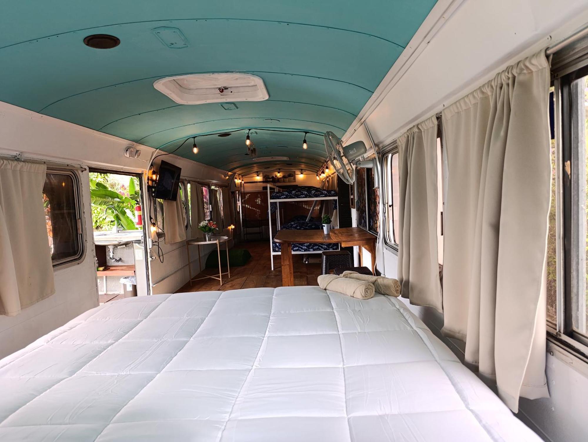 Dreamcatcher House Bus Experience 2 Campsite *